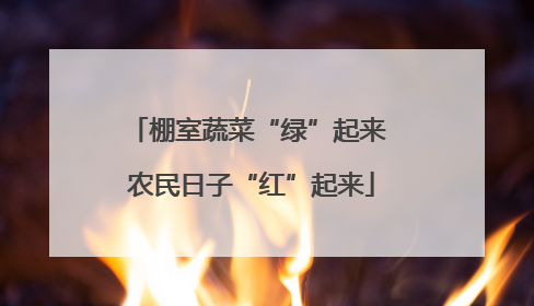 棚室蔬菜“绿”起来 农民日子“红”起来