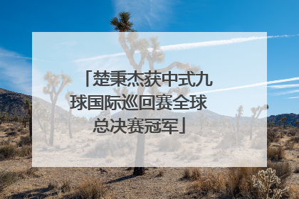 楚秉杰获中式九球国际巡回赛全球总决赛冠军