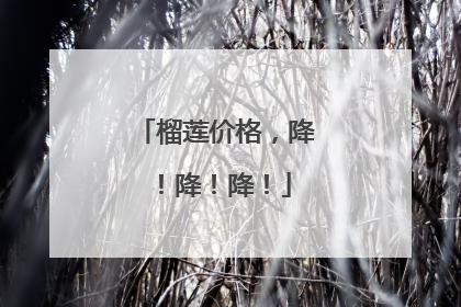 榴莲价格，降！降！降！