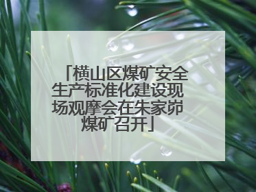 横山区煤矿安全生产标准化建设现场观摩会在朱家峁煤矿召开
