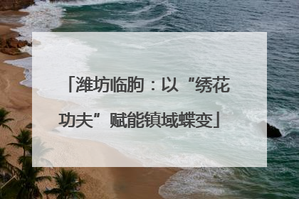 潍坊临朐：以“绣花功夫”赋能镇域蝶变