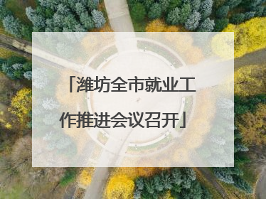 潍坊全市就业工作推进会议召开