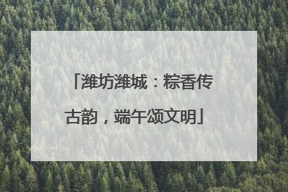 潍坊潍城：粽香传古韵，端午颂文明