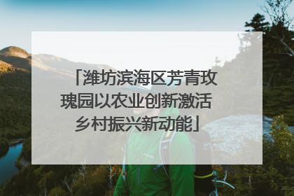 潍坊滨海区芳青玫瑰园以农业创新激活乡村振兴新动能