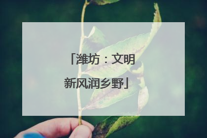 潍坊：文明新风润乡野