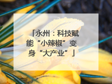 永州：科技赋能“小辣椒”变身“大产业”