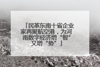 民革东南十省企业家再聚航空港，为河南数字经济增“智”又增“势”