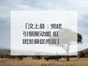 汶上县：党建引领聚动能 组团发展促共富