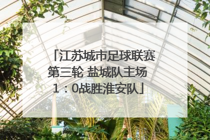 江苏城市足球联赛第三轮 盐城队主场1：0战胜淮安队