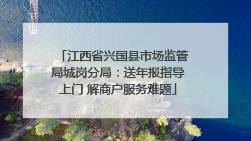 江西省兴国县市场监管局城岗分局：送年报指导上门 解商户服务难题