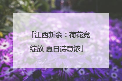 江西新余：荷花竞绽放 夏日诗意浓