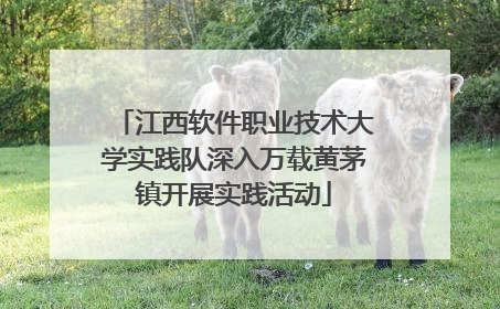 江西软件职业技术大学实践队深入万载黄茅镇开展实践活动