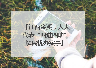 江西金溪：人大代表“四进四助”解民忧办实事