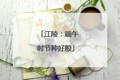 江陵：端午时节种好粮