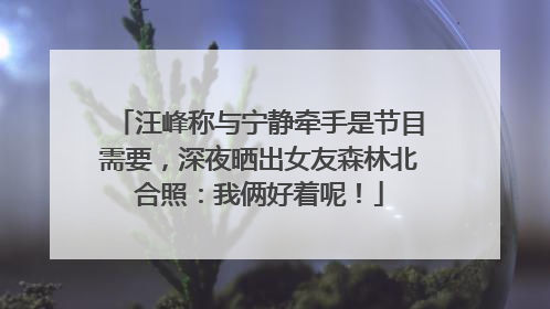 汪峰称与宁静牵手是节目需要，深夜晒出女友森林北合照：我俩好着呢！