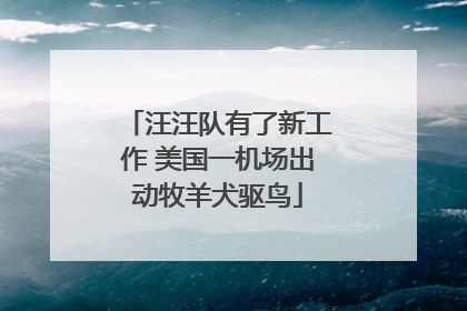 汪汪队有了新工作 美国一机场出动牧羊犬驱鸟