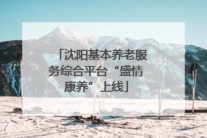 沈阳基本养老服务综合平台“盛情康养”上线