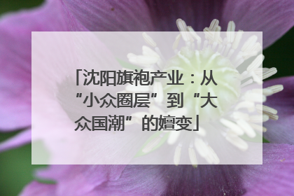 沈阳旗袍产业：从“小众圈层”到“大众国潮”的嬗变