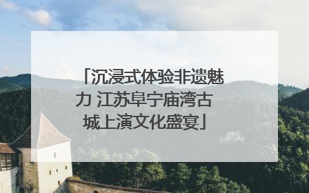 沉浸式体验非遗魅力 江苏阜宁庙湾古城上演文化盛宴