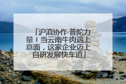 沪滇协作·普陀力量〡当云南牛肉遇上意面，这家企业迈上自研发展快车道