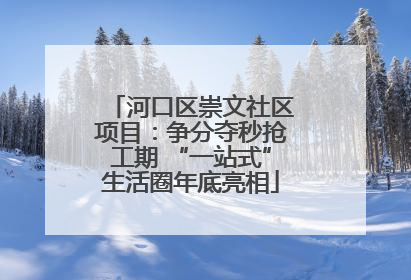 河口区崇文社区项目：争分夺秒抢工期 “一站式”生活圈年底亮相