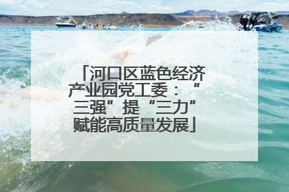 河口区蓝色经济产业园党工委：“三强”提“三力”赋能高质量发展