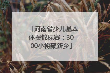 河南省少儿基本体操锦标赛：3000小将聚新乡