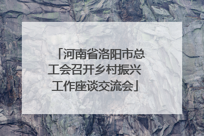 河南省洛阳市总工会召开乡村振兴工作座谈交流会
