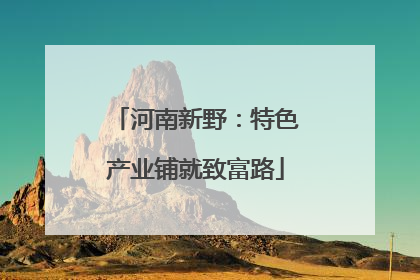 河南新野：特色产业铺就致富路