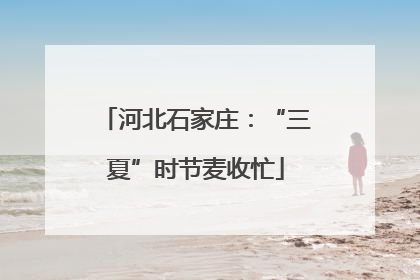 河北石家庄：“三夏”时节麦收忙