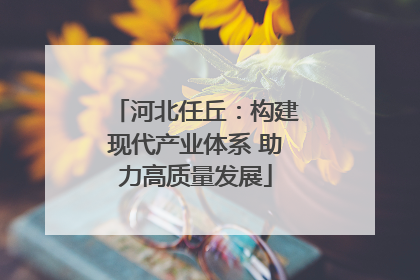 河北任丘：构建现代产业体系 助力高质量发展
