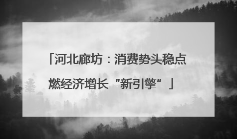 河北廊坊：消费势头稳点燃经济增长“新引擎”