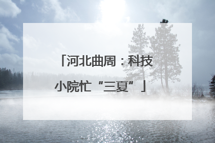 河北曲周：科技小院忙“三夏”