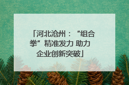 河北沧州：“组合拳”精准发力 助力企业创新突破