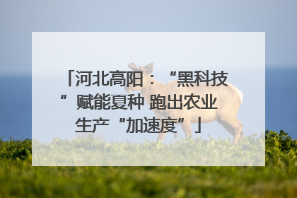河北高阳：“黑科技”赋能夏种 跑出农业生产“加速度”