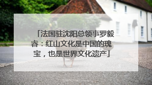 法国驻沈阳总领事罗毅睿：红山文化是中国的瑰宝，也是世界文化遗产