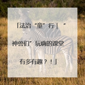 法治“童”行｜“神兽们”玩嗨的课堂有多有趣？！