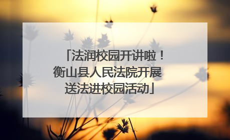 法润校园开讲啦！衡山县人民法院开展 送法进校园活动
