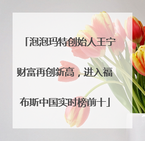 泡泡玛特创始人王宁财富再创新高，进入福布斯中国实时榜前十