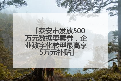 泰安市发放500万元数据要素券，企业数字化转型最高享5万元补贴