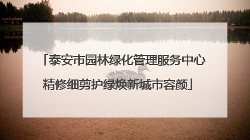 泰安市园林绿化管理服务中心精修细剪护绿焕新城市容颜