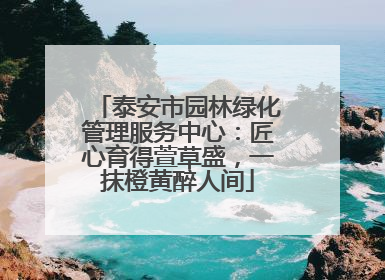 泰安市园林绿化管理服务中心：匠心育得萱草盛，一抹橙黄醉人间