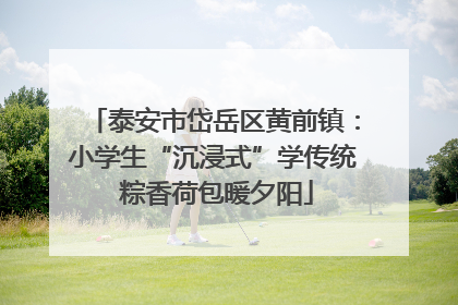 泰安市岱岳区黄前镇：小学生“沉浸式”学传统 粽香荷包暖夕阳