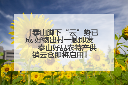 泰山脚下“云”势已成 好物出村一触即发——泰山好品农特产供销云仓即将启用