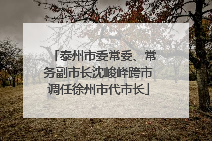 泰州市委常委、常务副市长沈峻峰跨市调任徐州市代市长