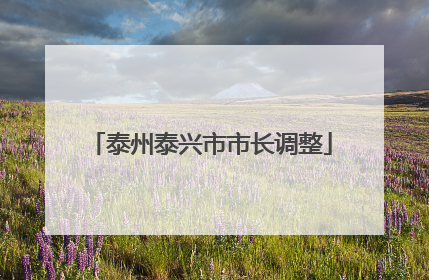 泰州泰兴市市长调整