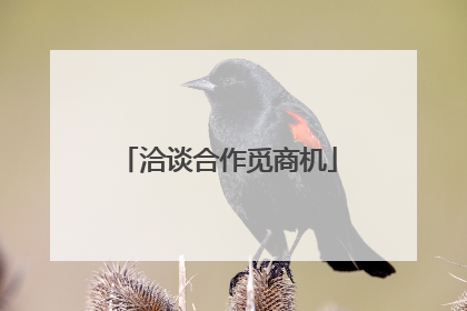洽谈合作觅商机
