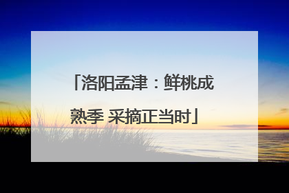 洛阳孟津：鲜桃成熟季 采摘正当时