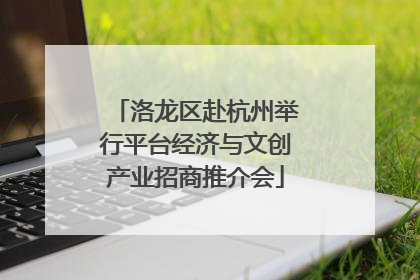 洛龙区赴杭州举行平台经济与文创产业招商推介会