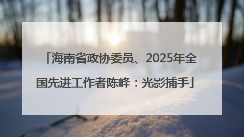 海南省政协委员、2025年全国先进工作者陈峰：光影捕手